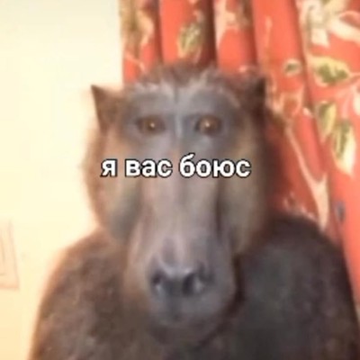 Bolotniy_Chifir