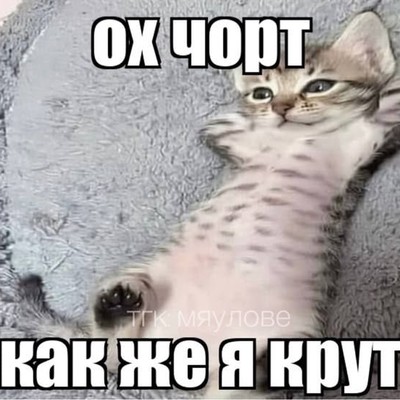 Myvka