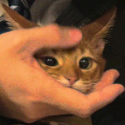 OaoaKoBu