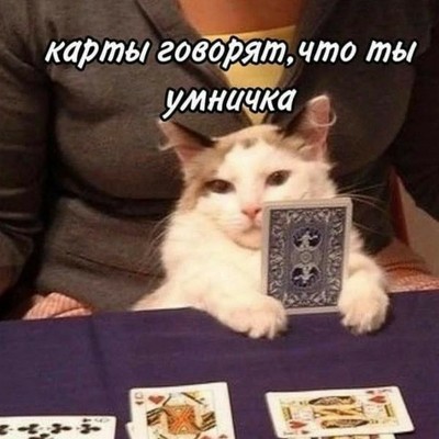suiceiceki