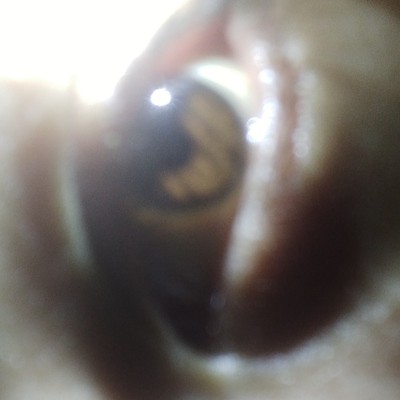 abdumazidovgajratzon