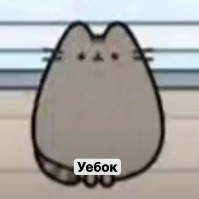 rvljex