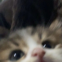 Golbert