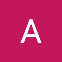 alinaarkhipova442