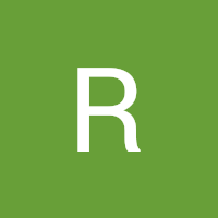rayananurbolotova3