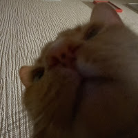 anikarakiv.icloud.com