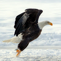 5858502