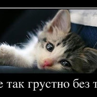 mikh.tyu