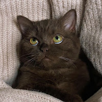 lenka.popovka.com