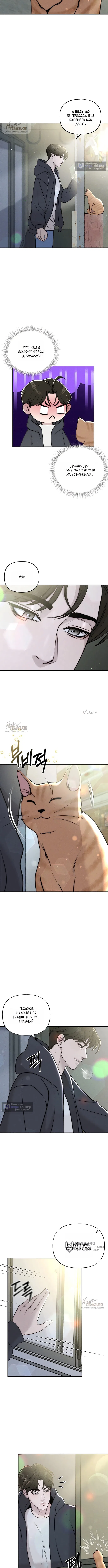 Страница 5 главы 23 манги Я подобрала сумасшедшего оппу / I Picked Up a Crazy Oppa