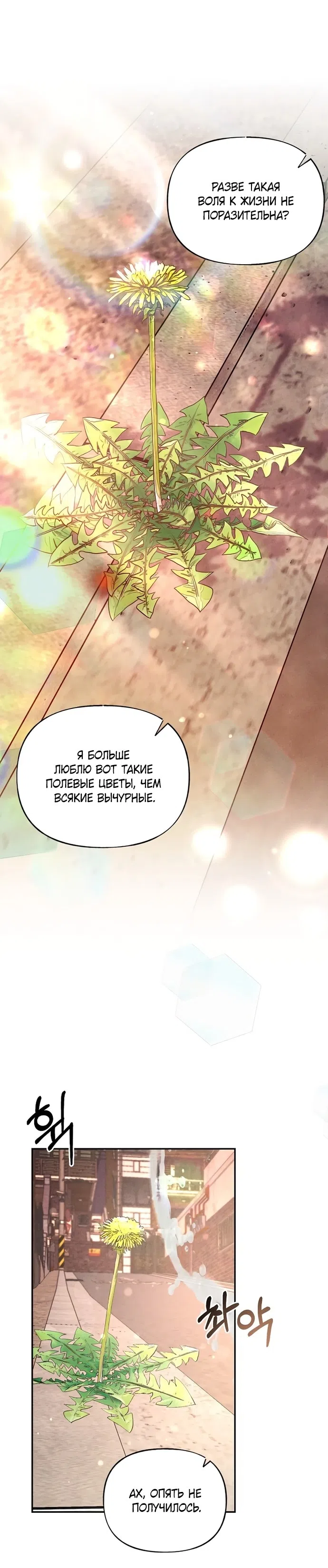 Страница 22 главы 25 манги Я подобрала сумасшедшего оппу / I Picked Up a Crazy Oppa