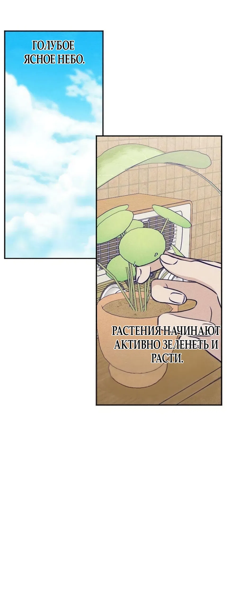 Страница 4 главы 25 манги Моей возлюбленной / My beloved