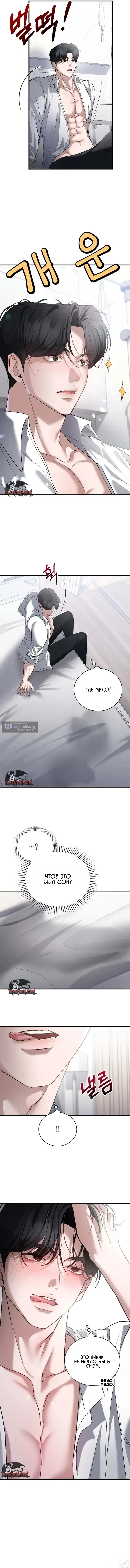 Страница 6 главы 15 манги Дикий пёс мечтает о пиршестве / Wild Dogs Dream of Feasting