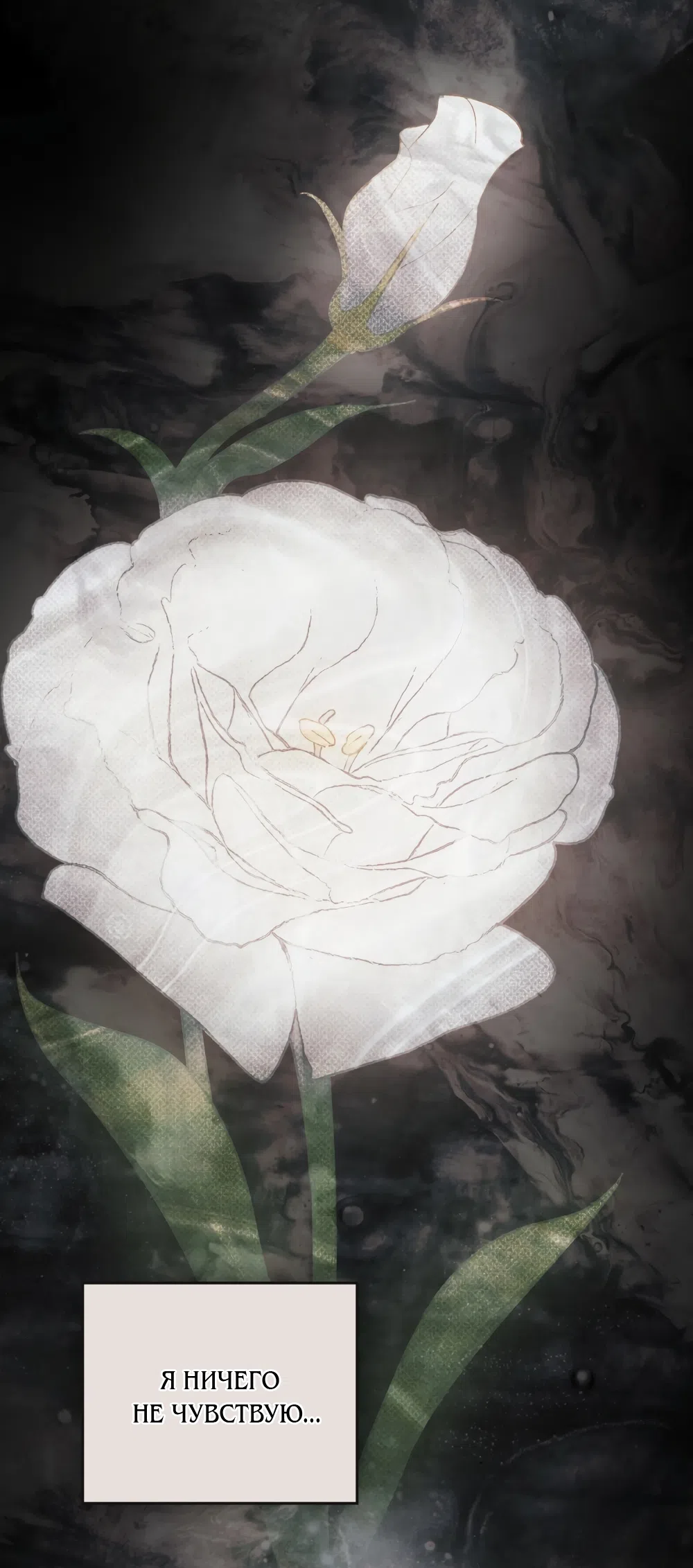 Страница 13 главы 44 манги Ночь Её Величества / Her Majesty's Night