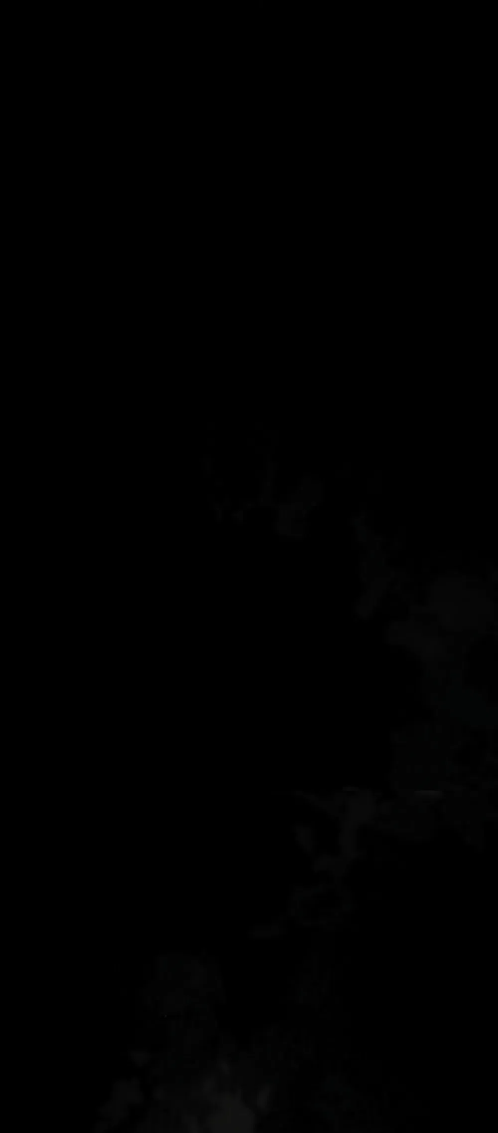 Страница 16 главы 23 манги Путь к тебе / My Way To You