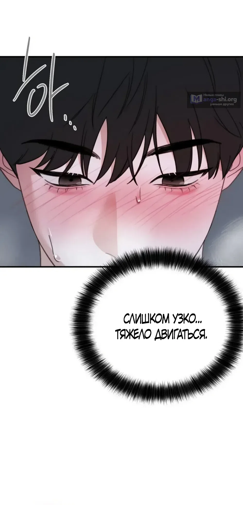 Страница 22 главы 27 манги Нежно в любви, жарко в быту / Love Gently, Live Together Passionately