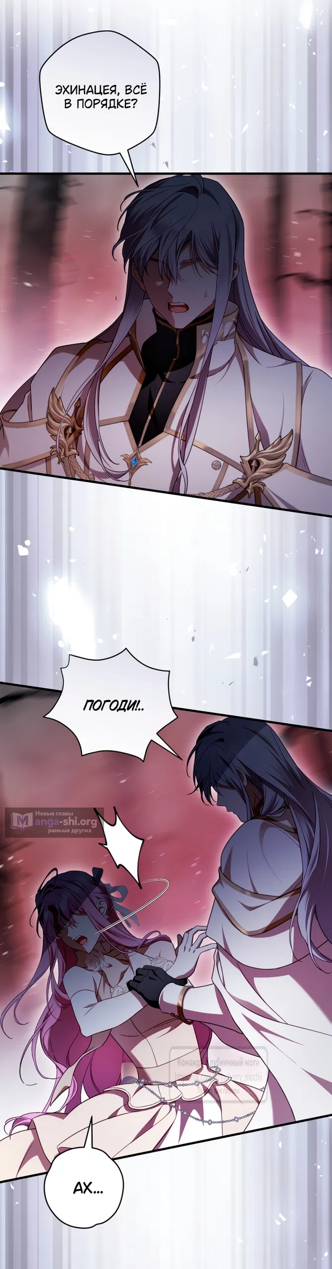 Страница 27 главы 49 манги Цветок, одержимый мечом / The Flower With a Sword