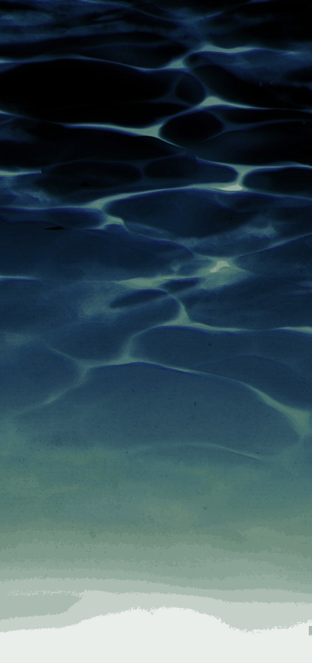 Страница 24 главы 13 манги Ночь обмана / A Night That Deceives You