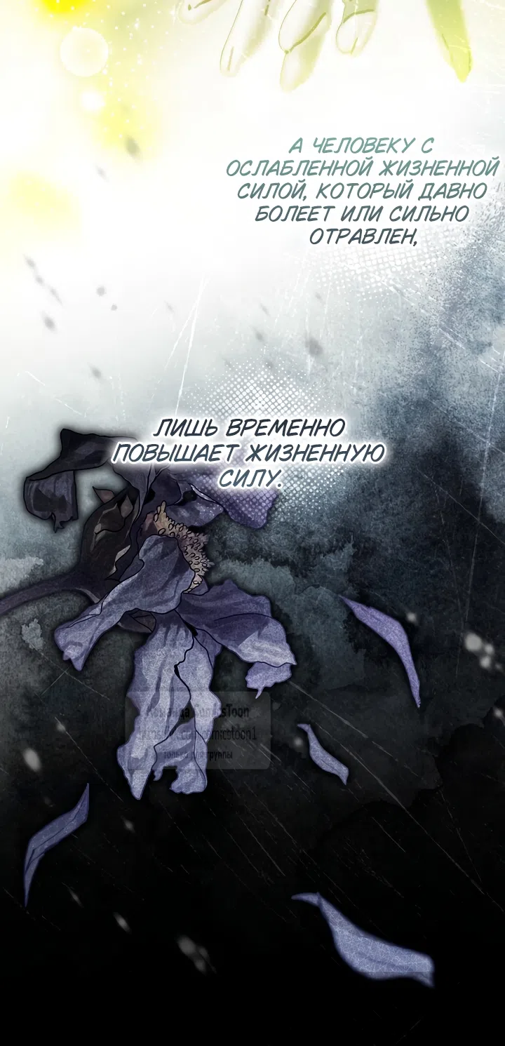 Страница 43 главы 53 манги После того как я завоевала особую любовь младшей дочери герцога, все привязываются ко мне