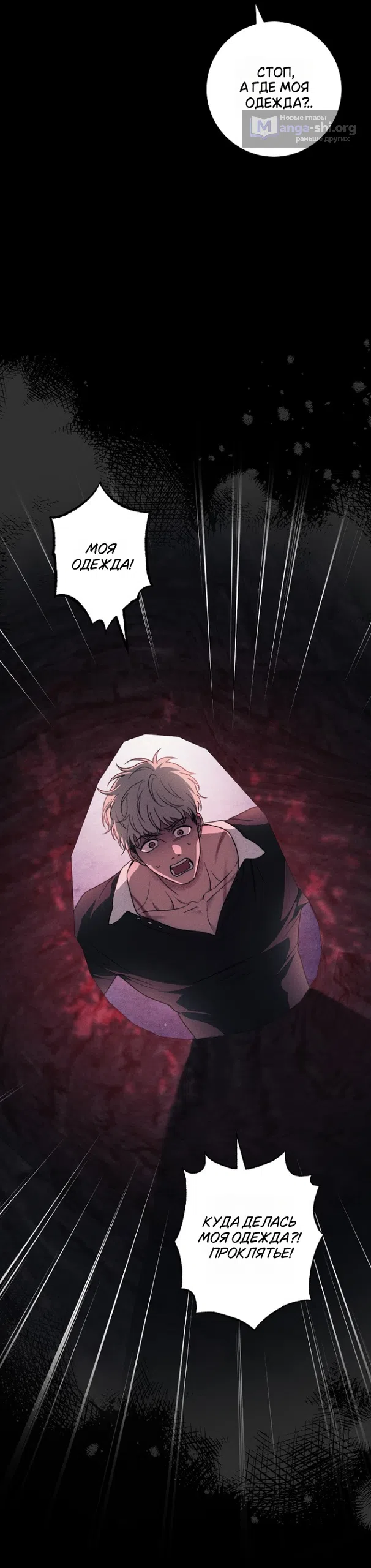 Страница 47 главы 38 манги Лебединая гробница / Swan's Grave