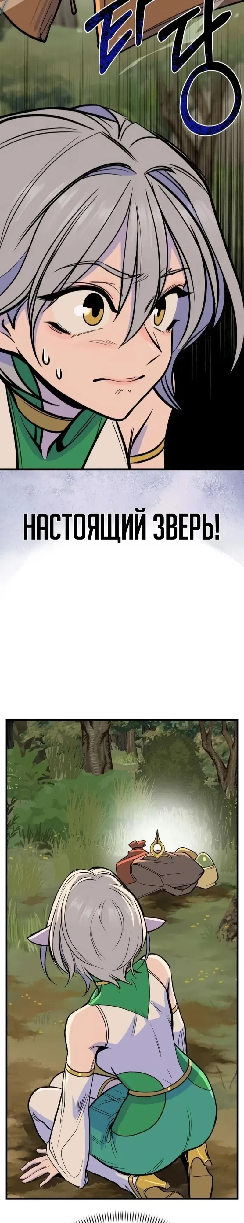 Страница 52 главы 6 манги Дракон старшего сержанта