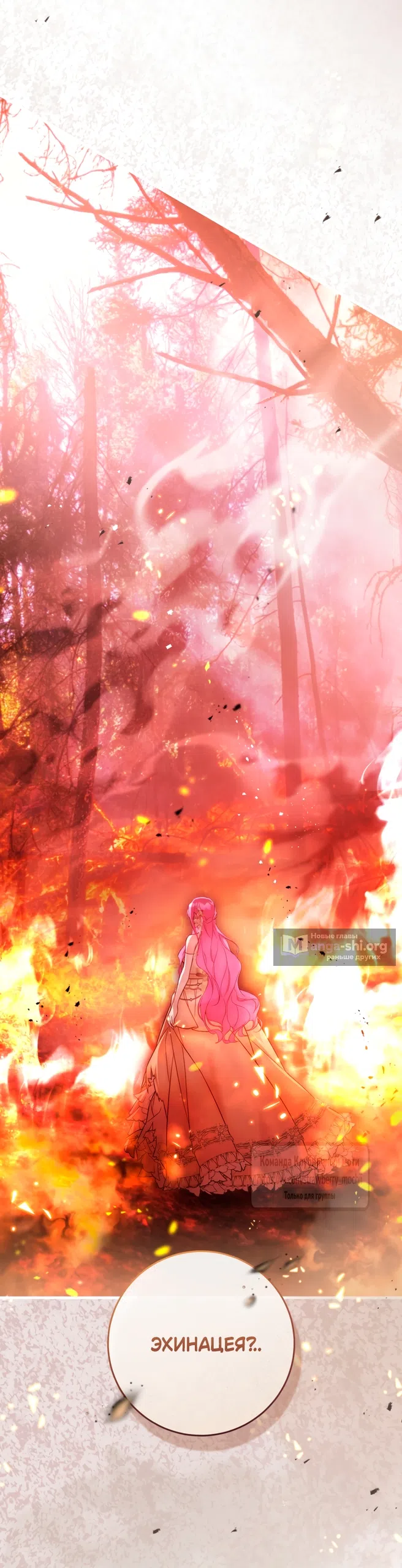 Страница 69 главы 46 манги Цветок, одержимый мечом / The Flower With a Sword