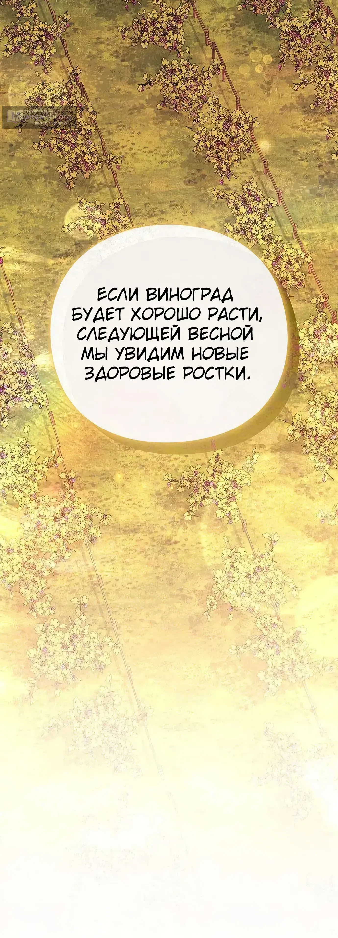 Страница 70 главы 9 манги Я Разбогател на Ферме Вина