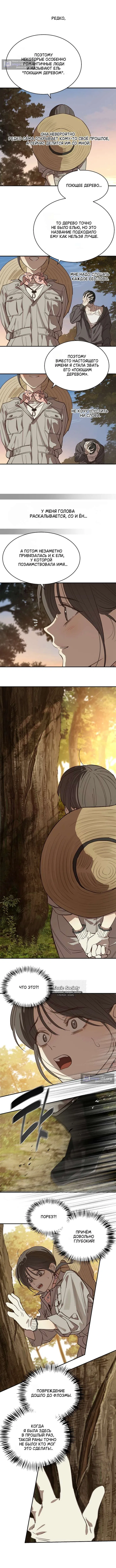 Страница 8 главы 39 манги Цветы - лишь приманка / The flower is just bait