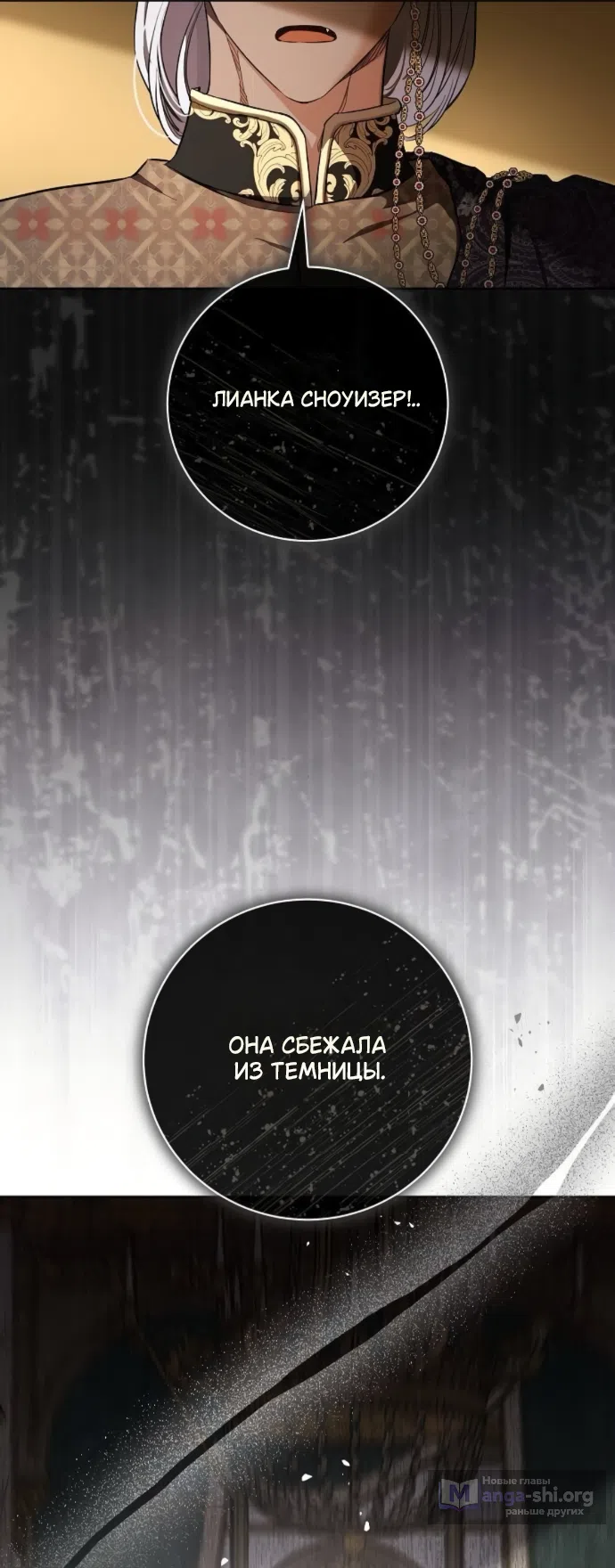 Страница 12 главы 102 манги Любовнице моего мужа / To My Husband's Mistress