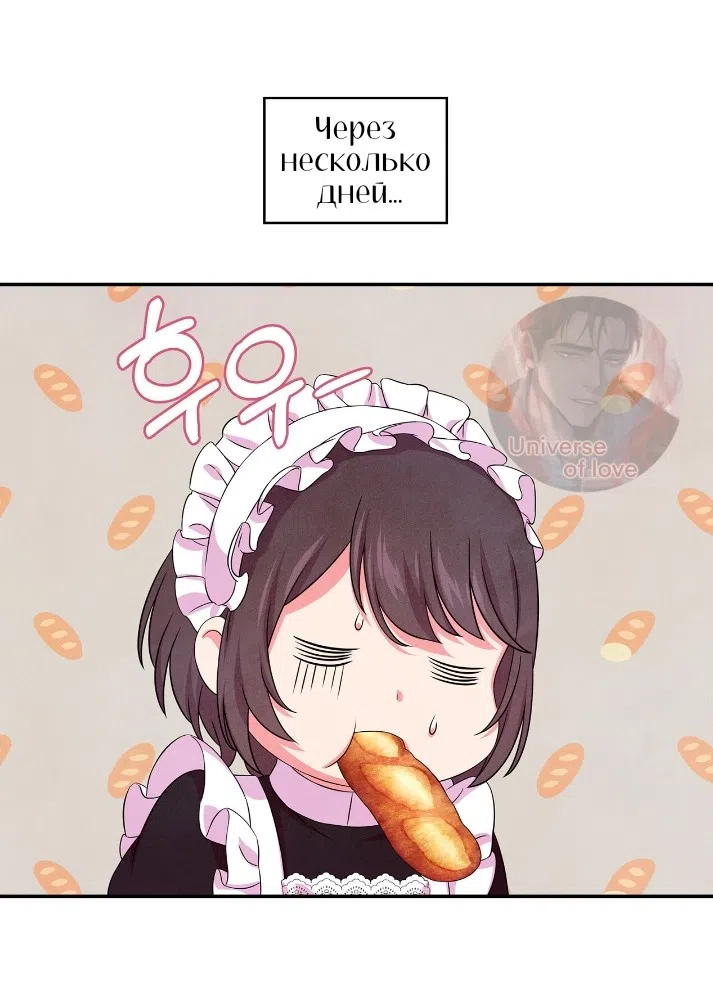 Страница 41 главы 39 манги Мой хозяин не кусает людей! / Our master doesn't bite people!