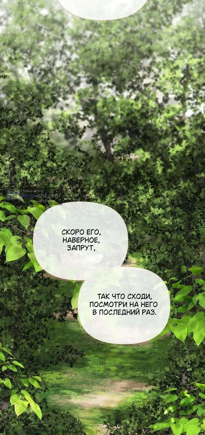 Страница 48 главы 4 манги Лимонный лес / Lemon Tree Forest