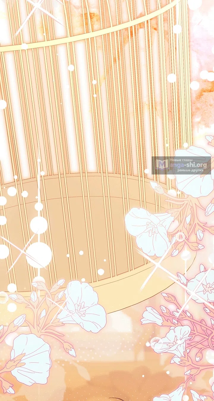 Страница 68 главы 24 манги Клетка коллекционера / Collector's Cage