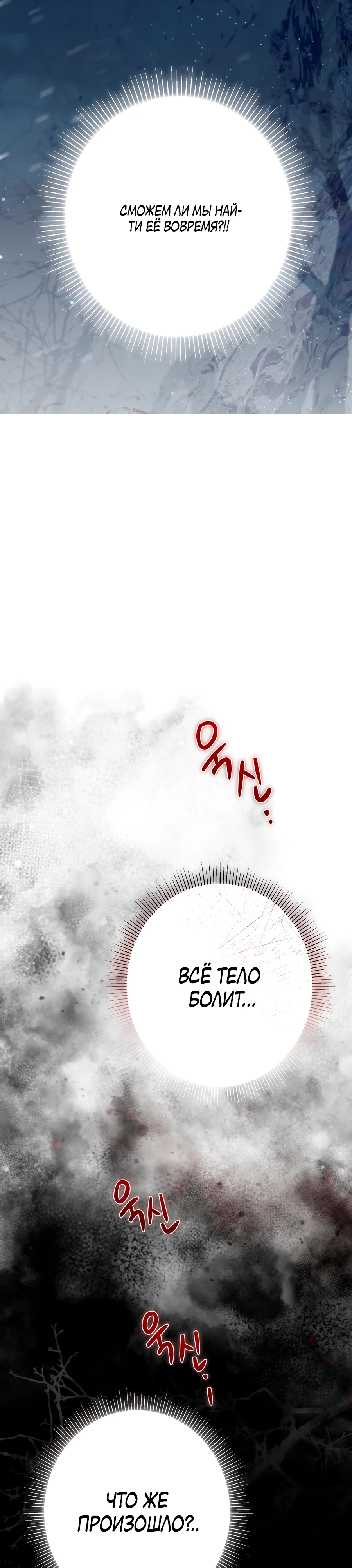 Страница 11 главы 13 манги Леди слишком любопытна