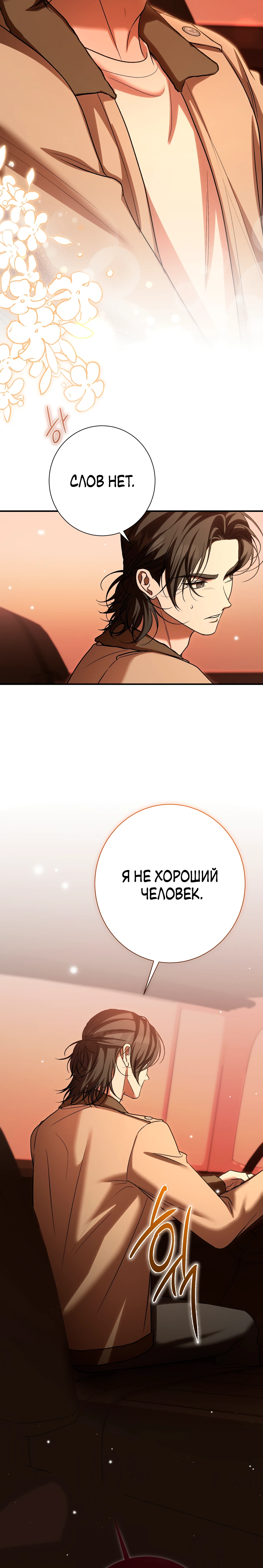 Страница 30 главы 15 манги Леди слишком любопытна