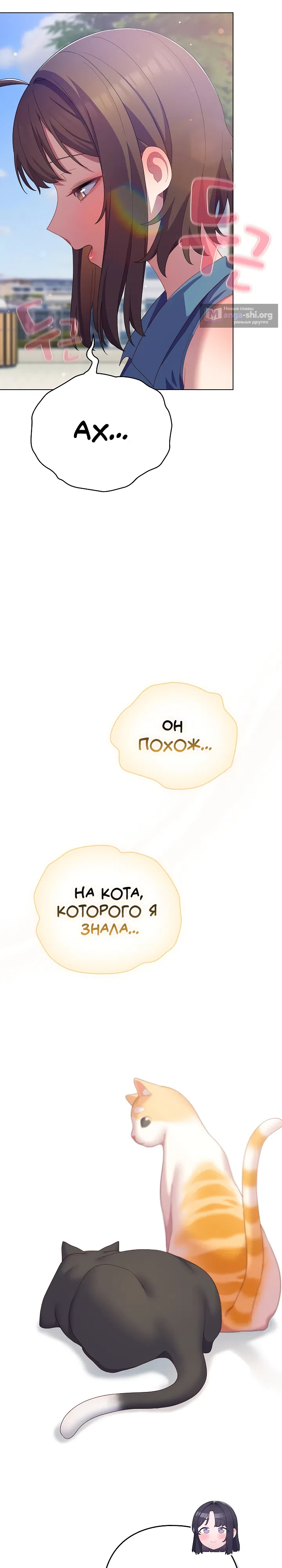 Страница 13 главы 19 манги Сведённые котом