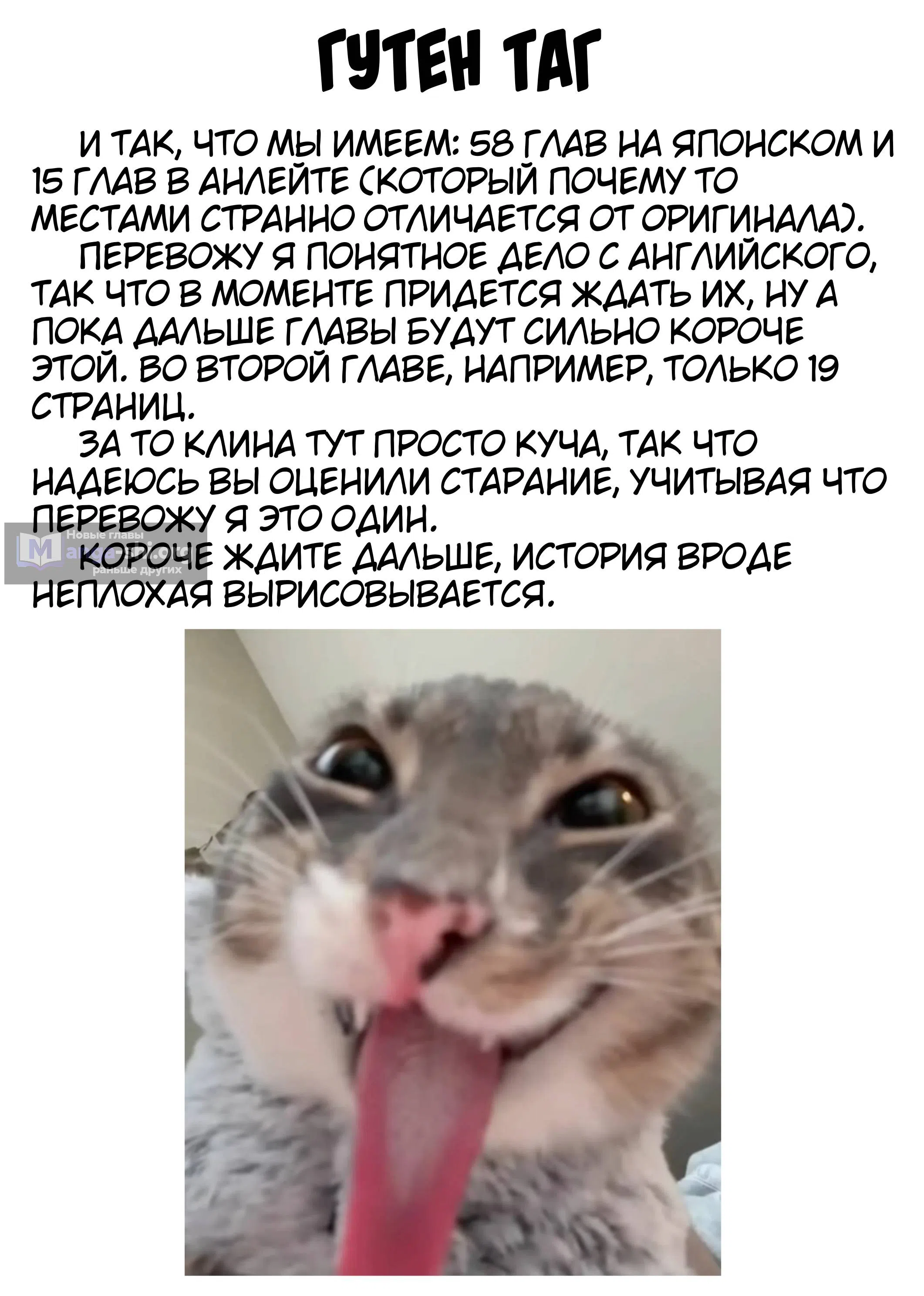 Страница 49 главы 1 манги Орк-полукровка в смешанном мире