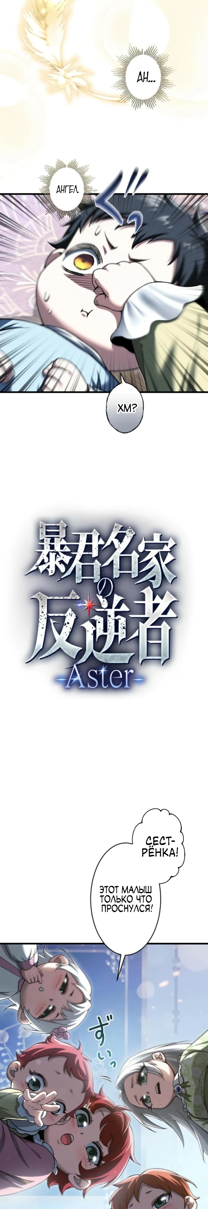 Страница 2 главы 2 манги Астер, ублюдок из дворянского рода / Aster, the Rebel of a Tyrant Family
