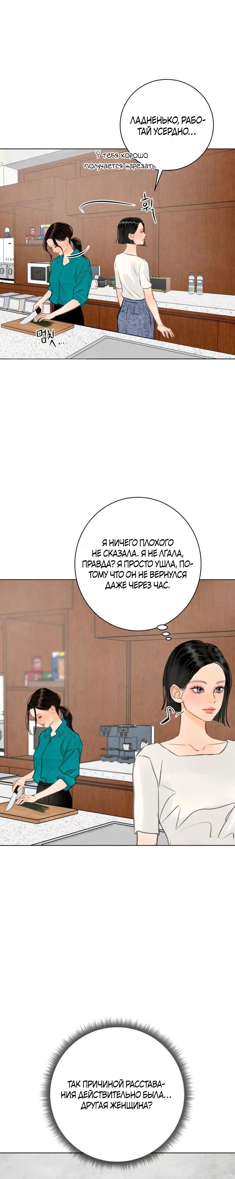 Страница 27 главы 27 манги До того, как созреет виноград / Before the grapes ripen