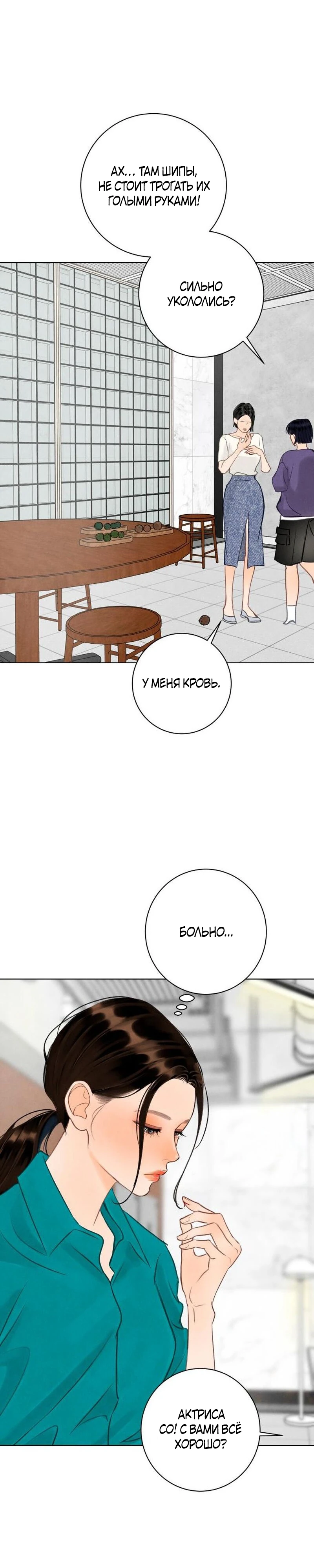 Страница 31 главы 27 манги До того, как созреет виноград / Before the grapes ripen