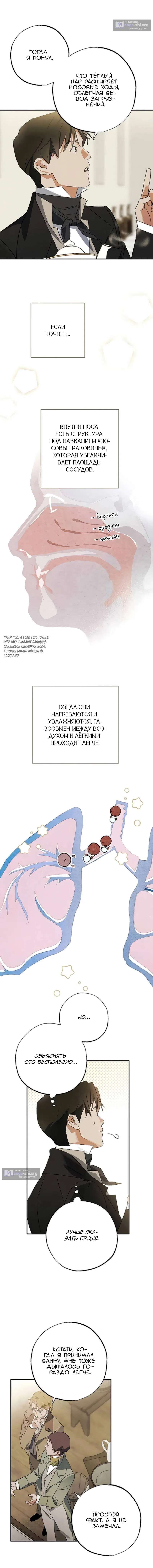 Страница 5 главы 27 манги Темноволосый британский доктор