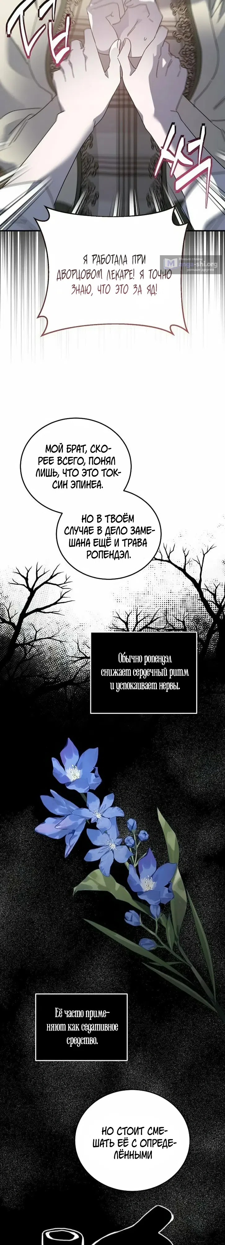 Страница 13 главы 27 манги Повесть о мести горничной