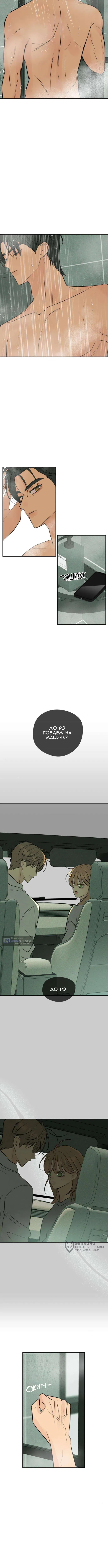 Страница 13 главы 36 манги Первая любовь хулигана