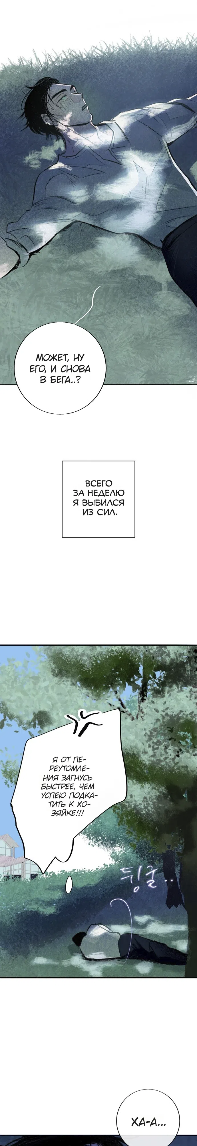 Страница 37 главы 5 манги Тайный сад / Secret Garden