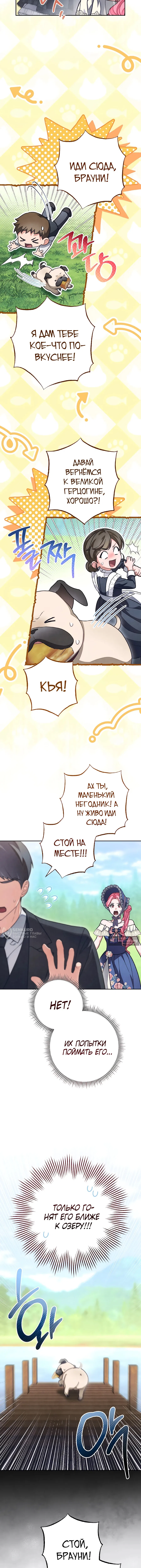 Страница 10 главы 60 манги Одержимость герцога своей женой / The Duke's Wife Obsession