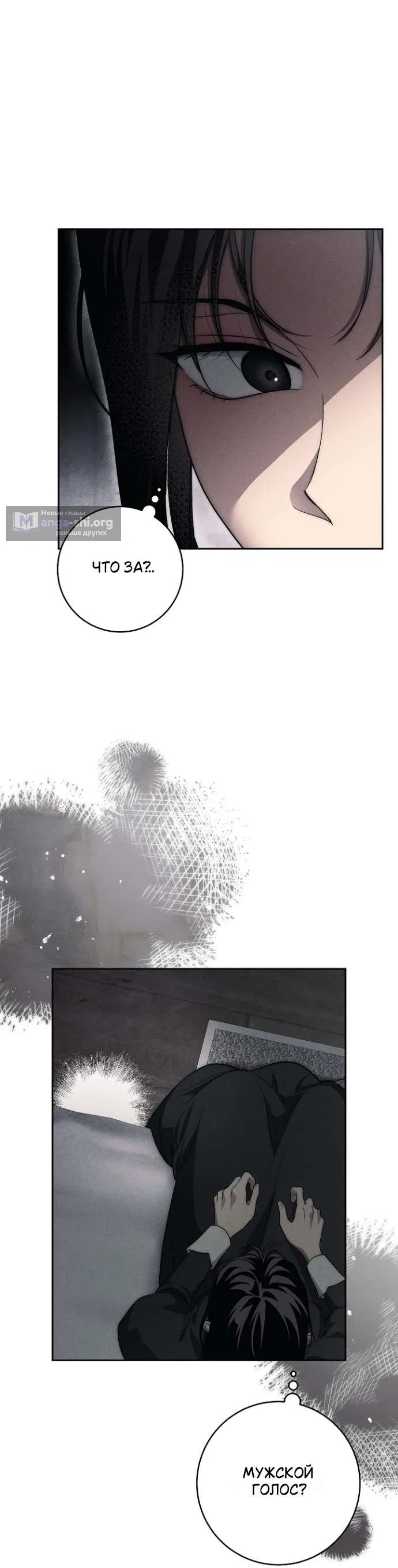 Страница 44 главы 35 манги Лебединая гробница / Swan's Grave
