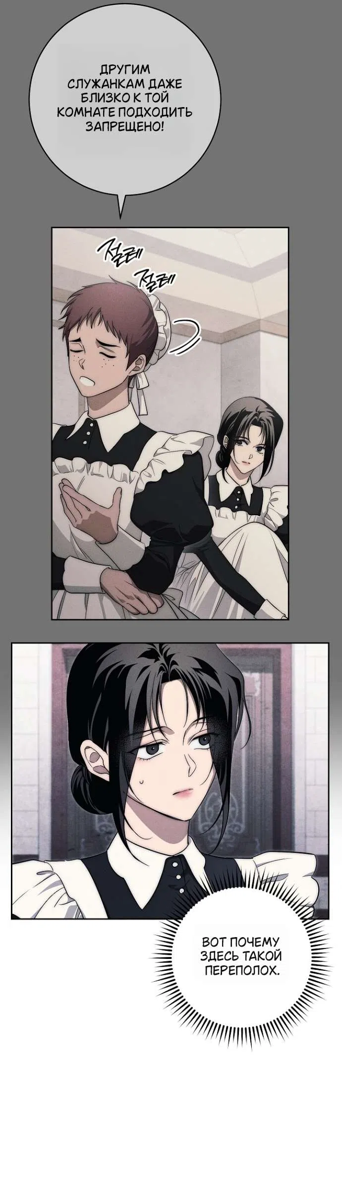 Страница 53 главы 34 манги Лебединая гробница / Swan's Grave