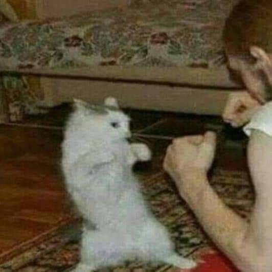 Мурим, башни и прочие