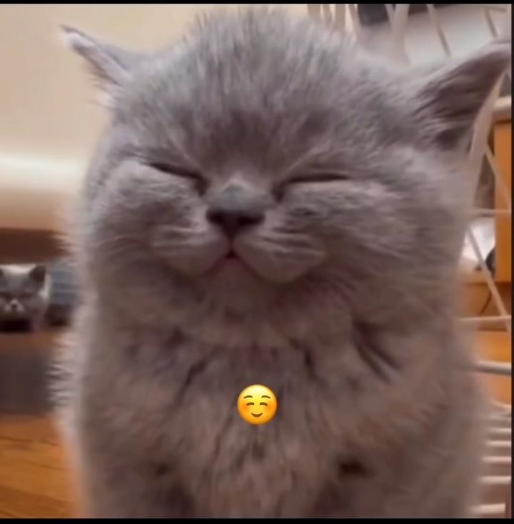 Это очень даже хорошо