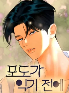 Обложка манги До того, как созреет виноград / Before the grapes ripen