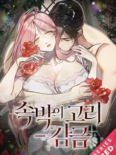 Обложка манги Цепи сдержанности: Тюремное заключение / Chains of Restraint: Imprisonment